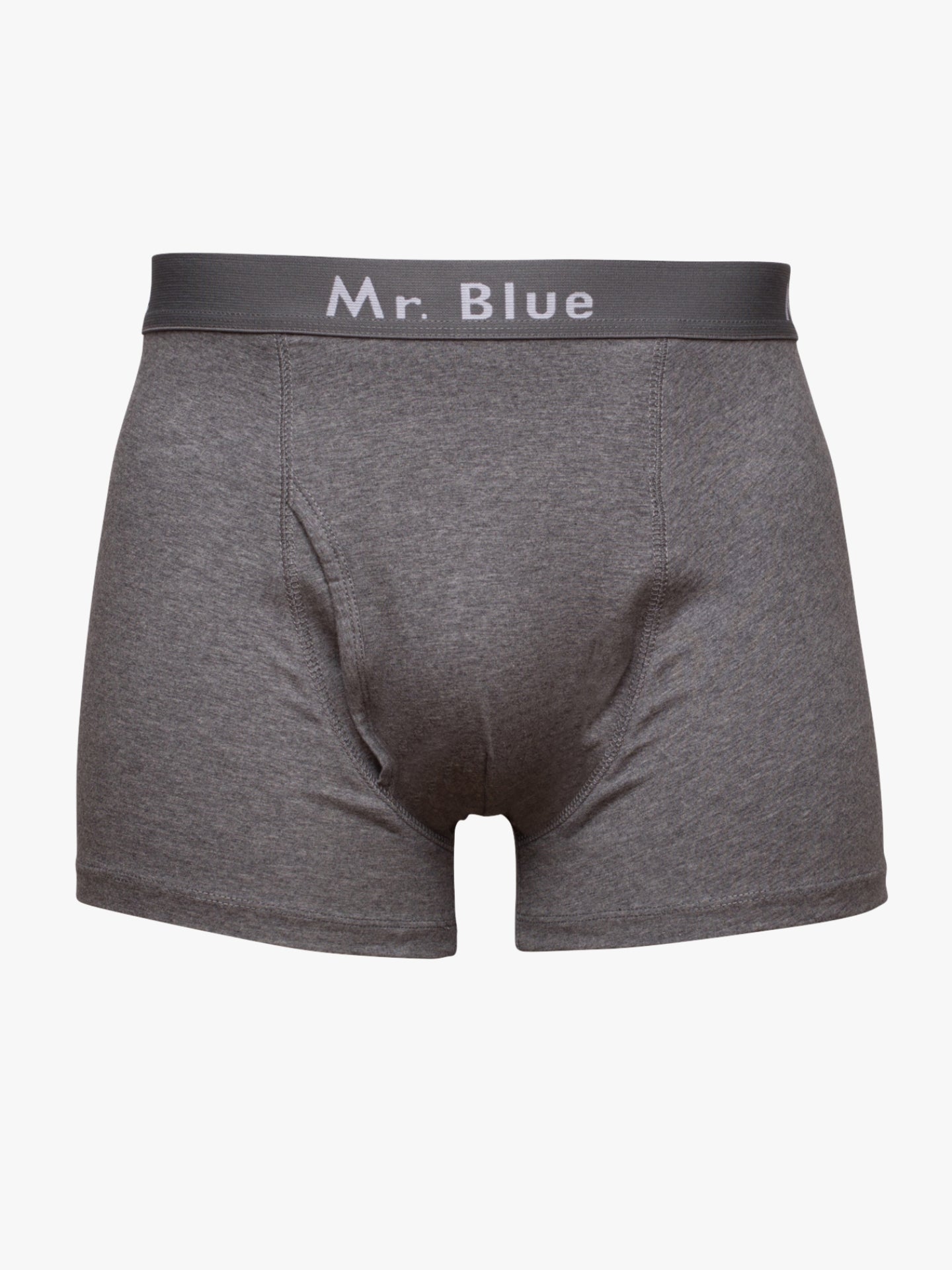 BOXERS CINZENTA CLASSIC FIT MR. BLUE