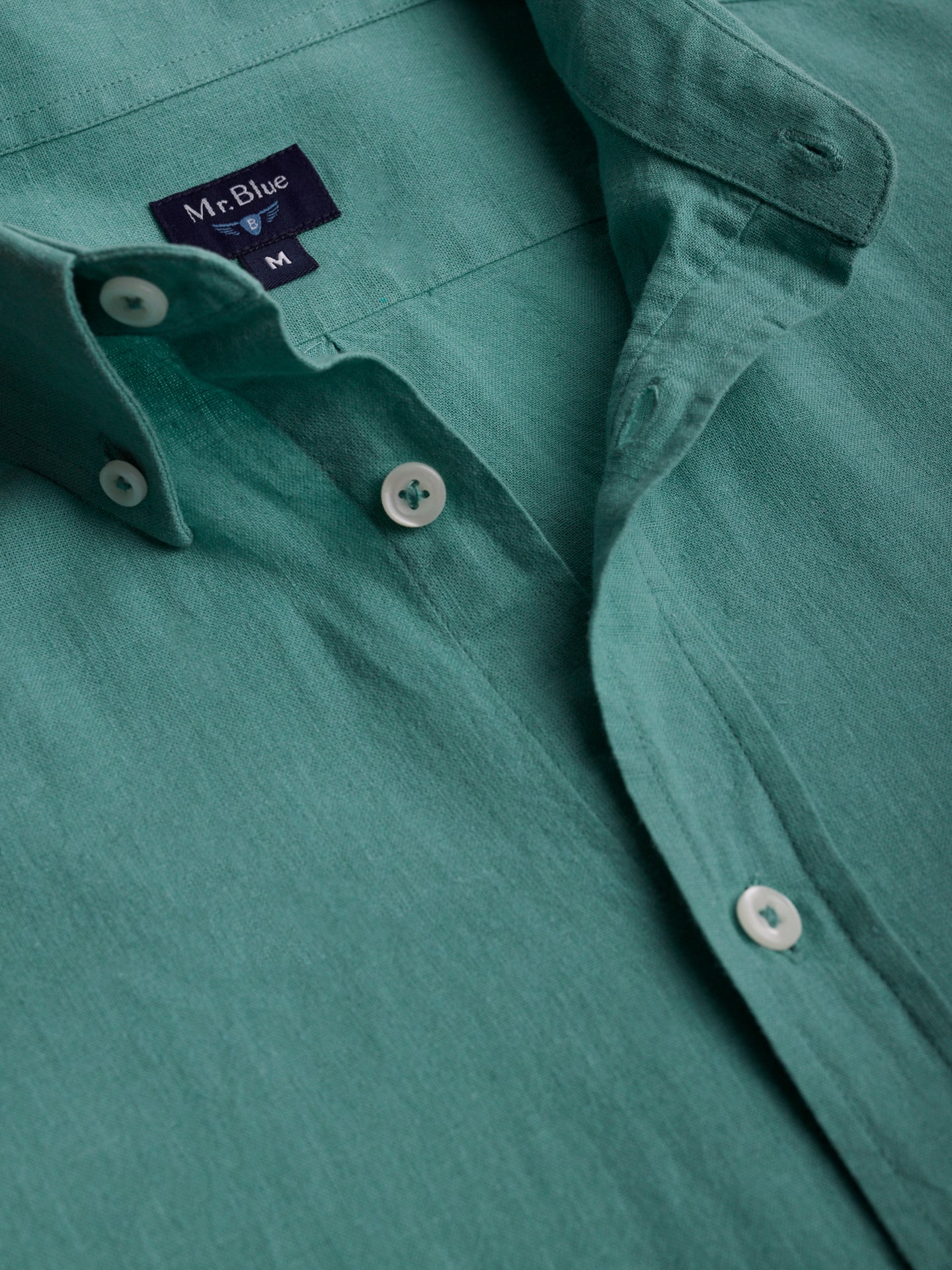 Camisa Regular Fit Linho Verde Mr. Blue