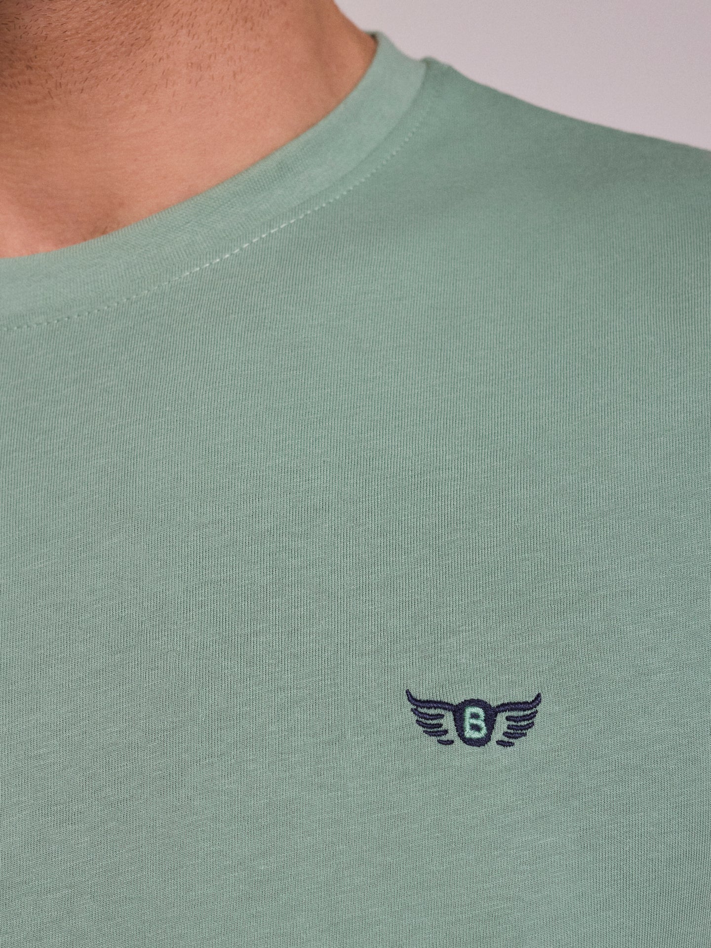 T-SHIRT ALGODÃO VERDE MANGA CURTA REGULAR FIT MR. BLUE