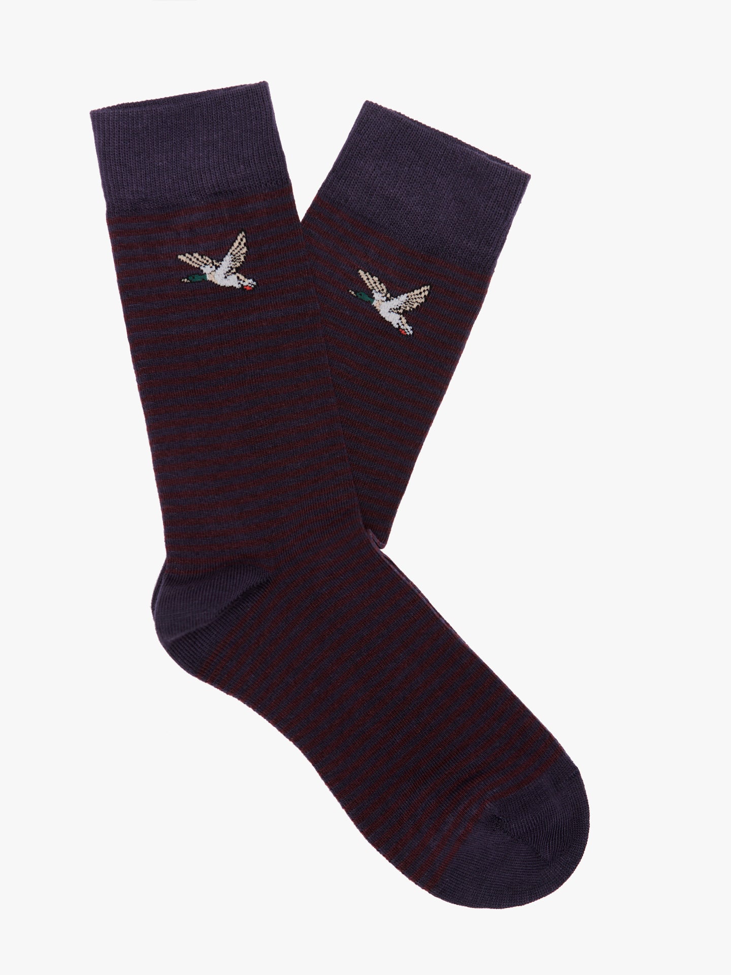 MEIAS AZUIS MR. BLUE