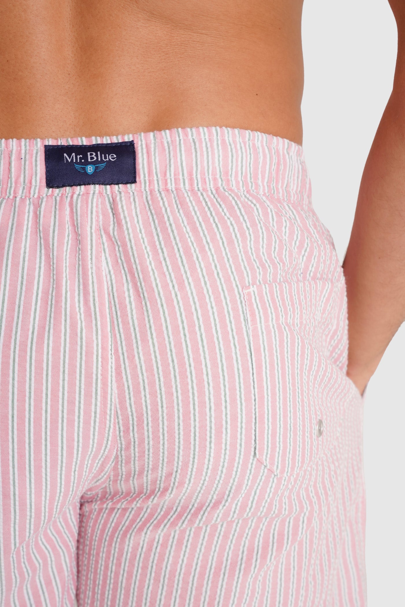 REGULAR FIT MR. PINK SWIMMING SUIT BLUE