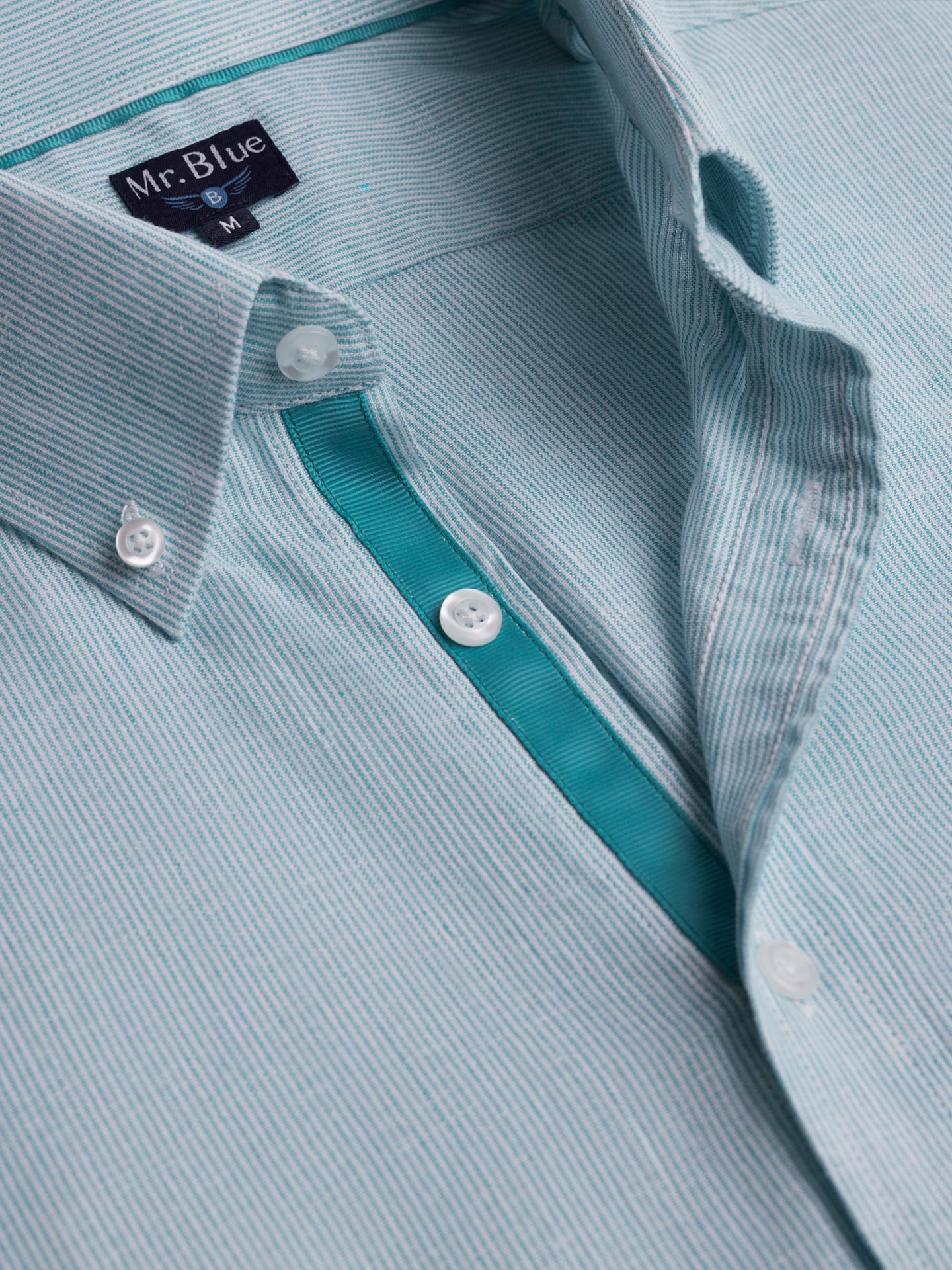 Camisa Regular Fit Oxford Azul Mr. Blue