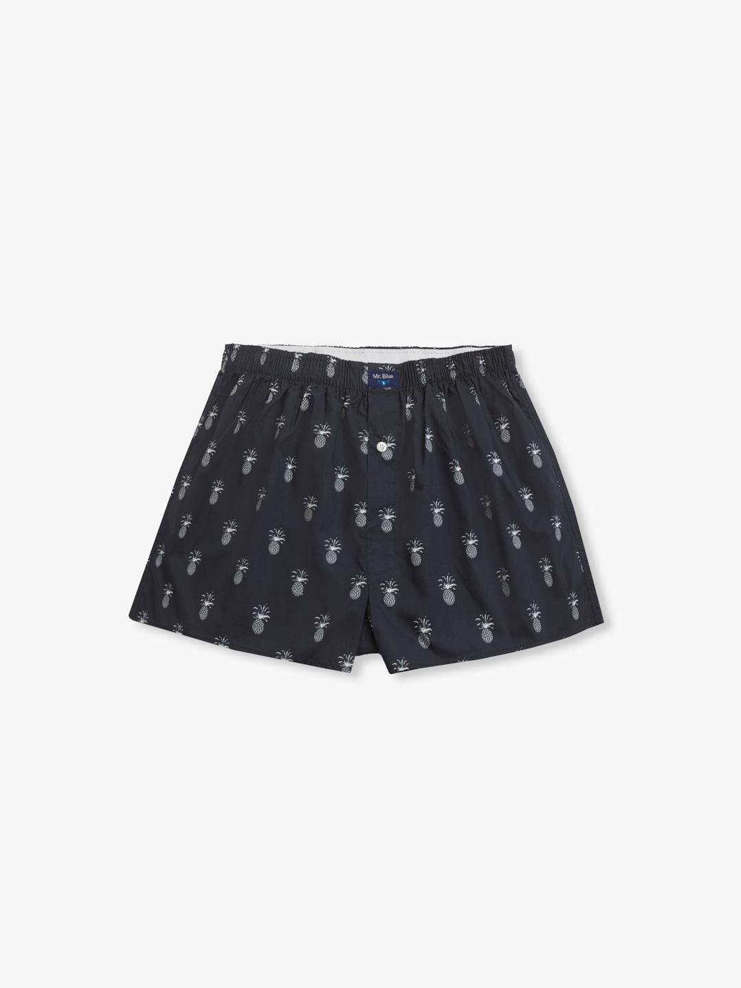 BLUE BOXERS REGULAR FIT MR. BLUE