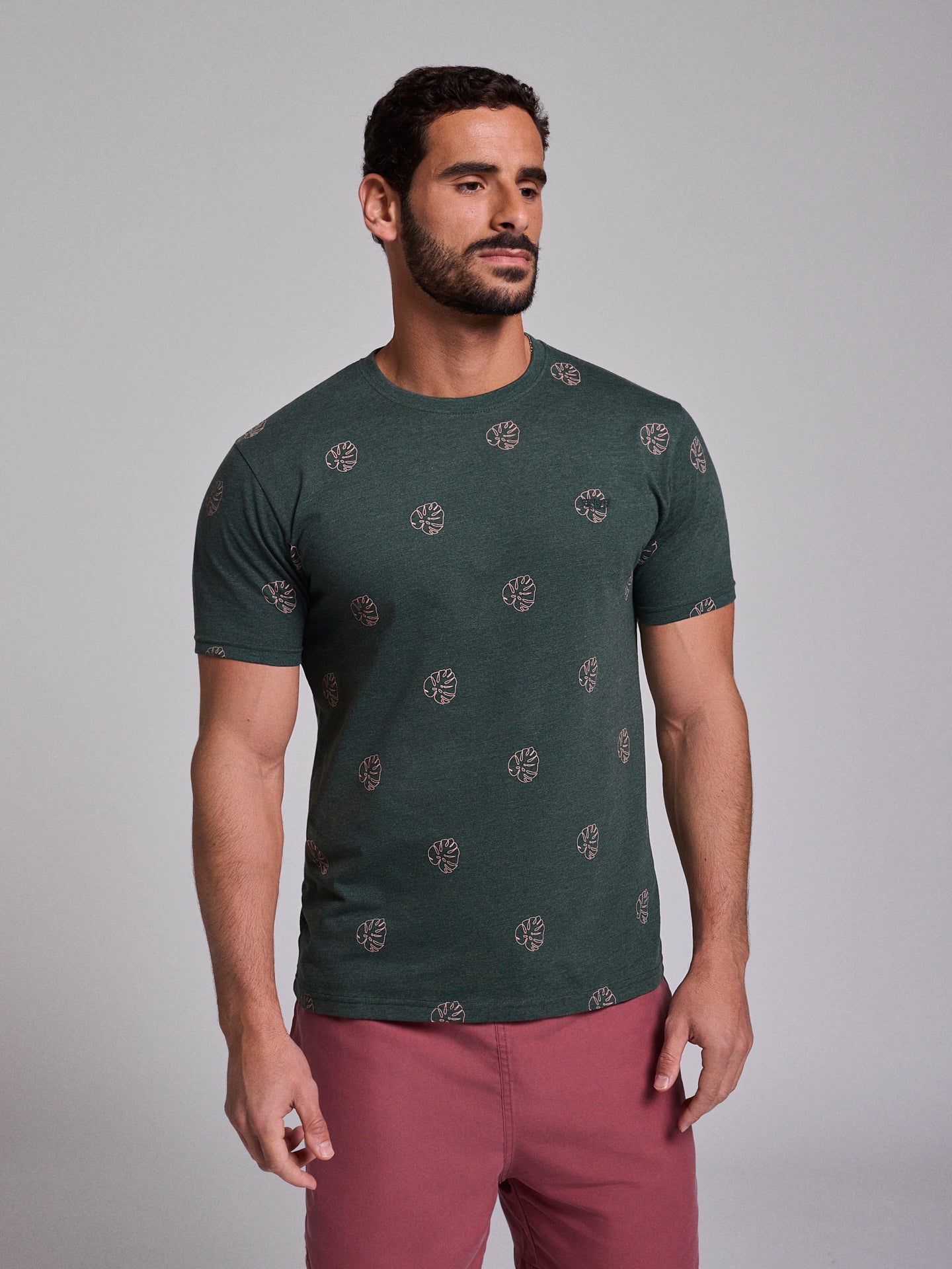 T-SHIRT ALGODÃO VERDE MANGA CURTA REGULAR FIT MR. BLUE