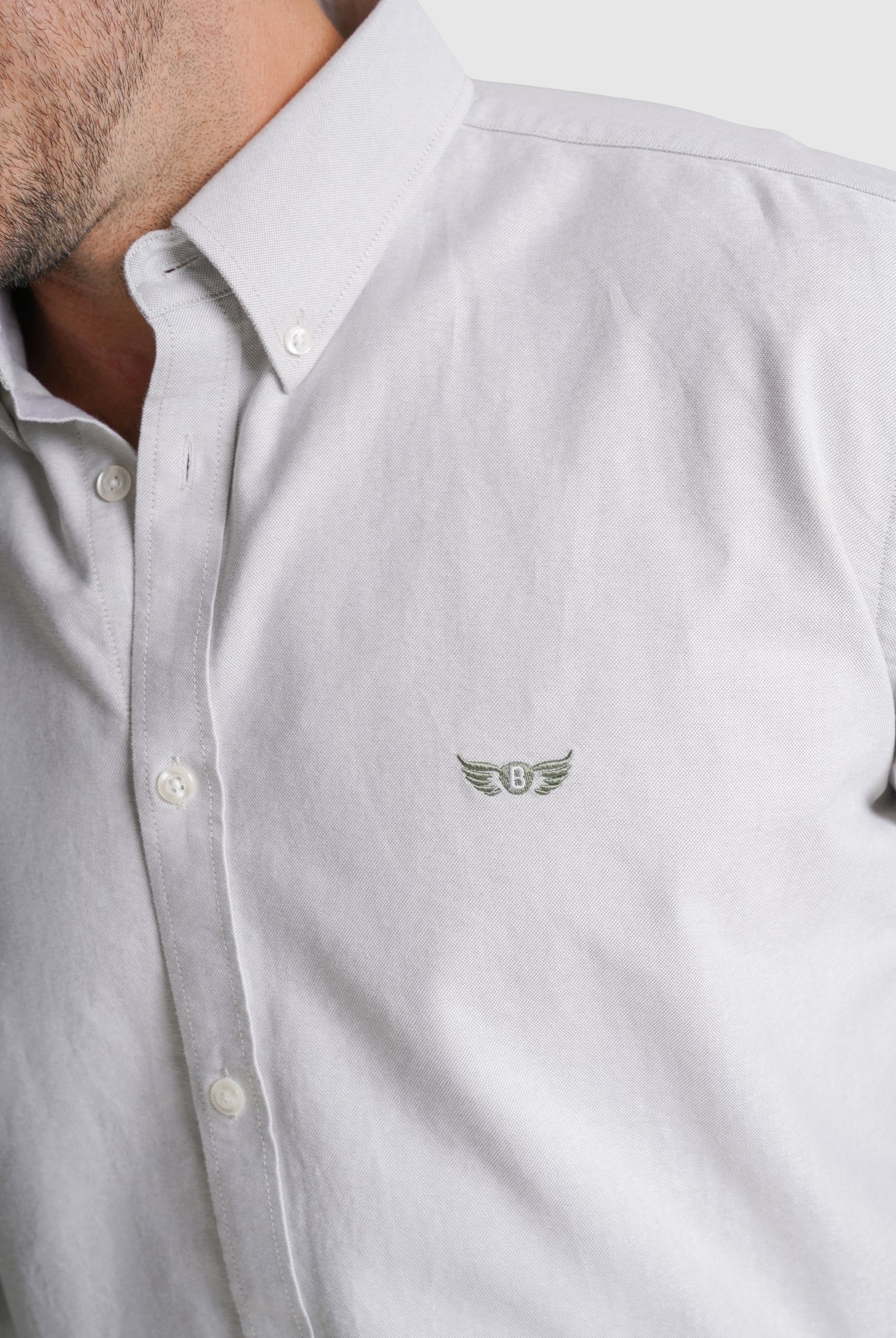 CAMISA ALGODÃO REGULAR FIT VERDE LISA MR. BLUE