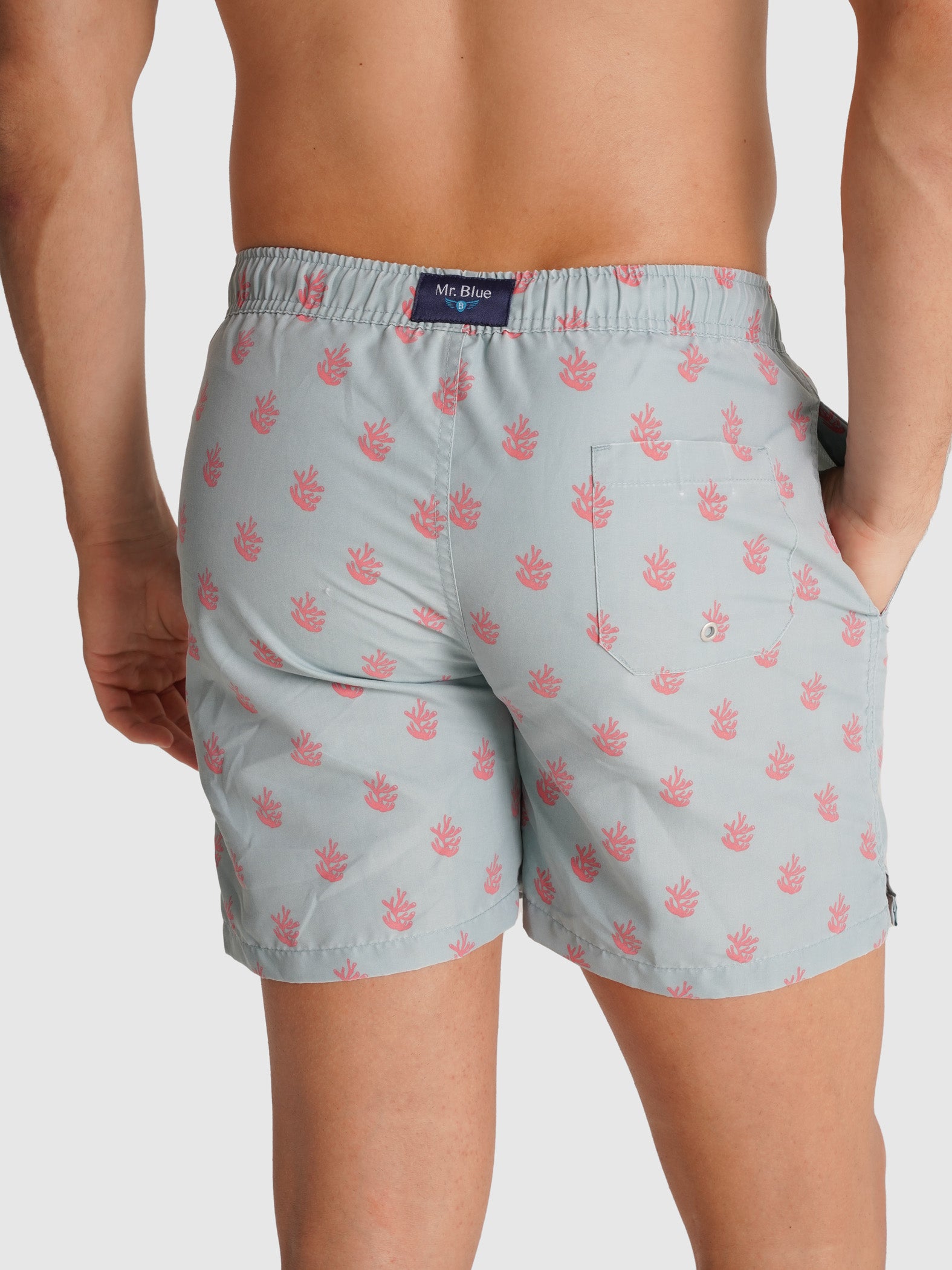 REGULAR FIT MR. BLUE SWIMMING SUIT BLUE