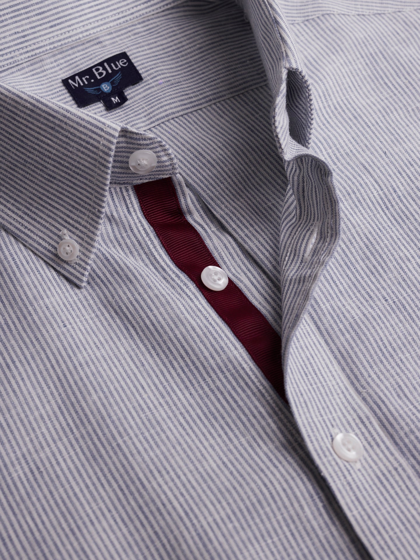 Camisa Regular Fit Oxford Azul Mr. Blue