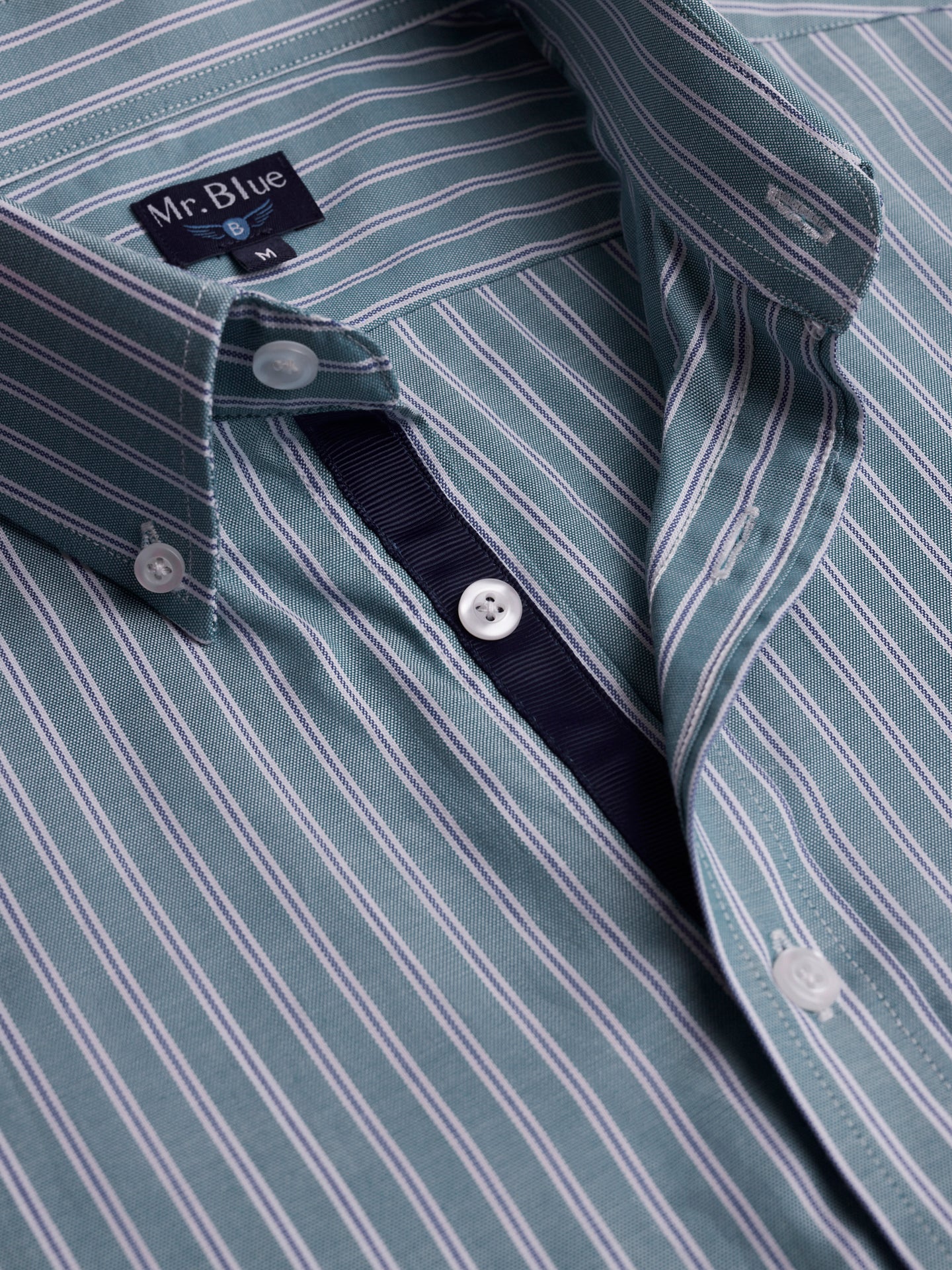 Camisa Regular Fit Oxford Azul Mr. Blue