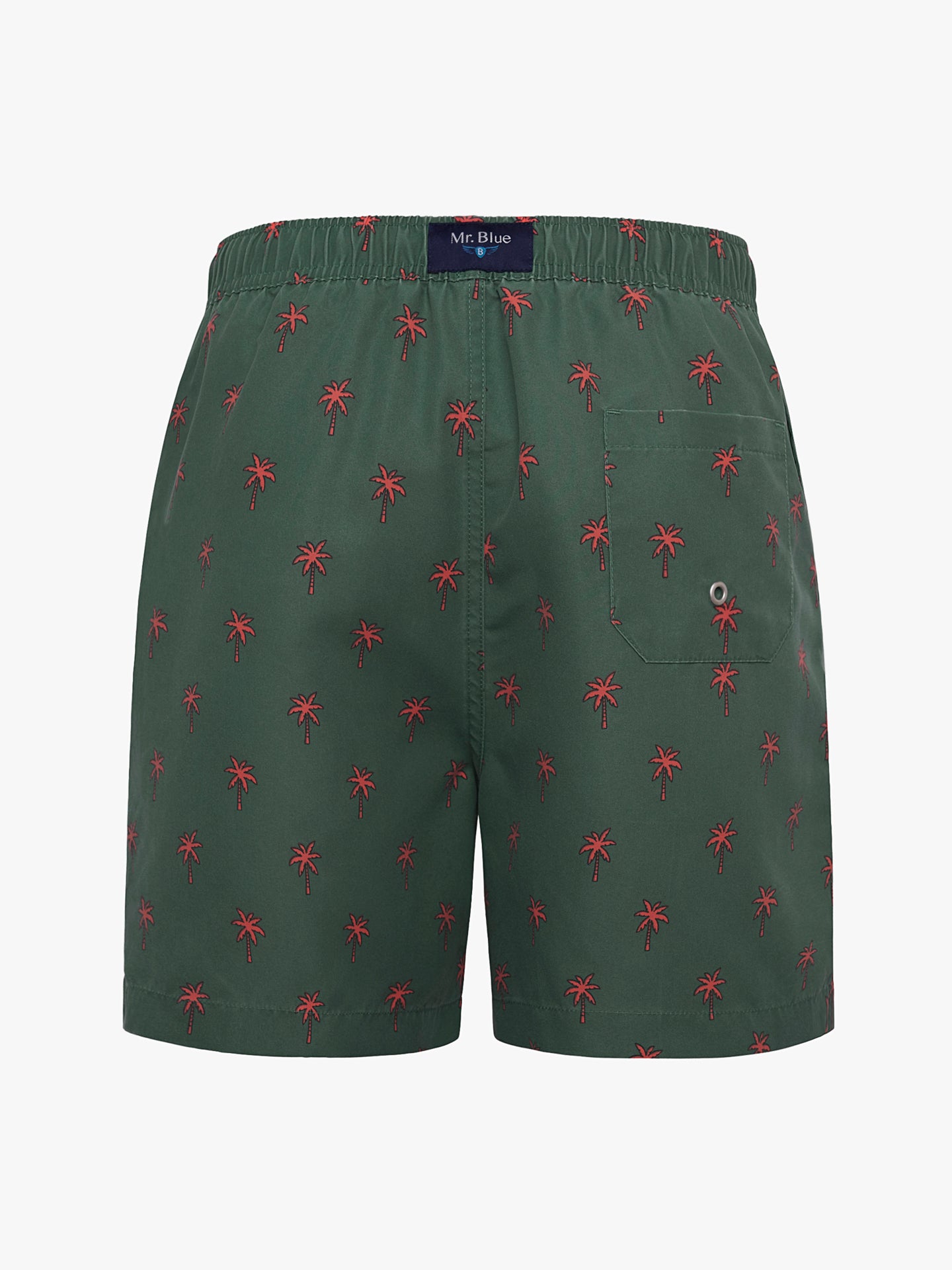 Fato de Banho Clássico Verde Mr. Blue