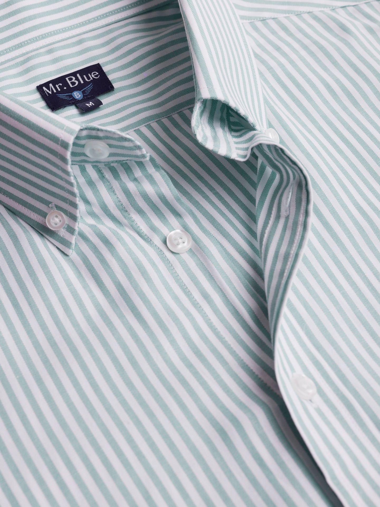 Camisa Regular Fit Oxford Verde Mr. Blue