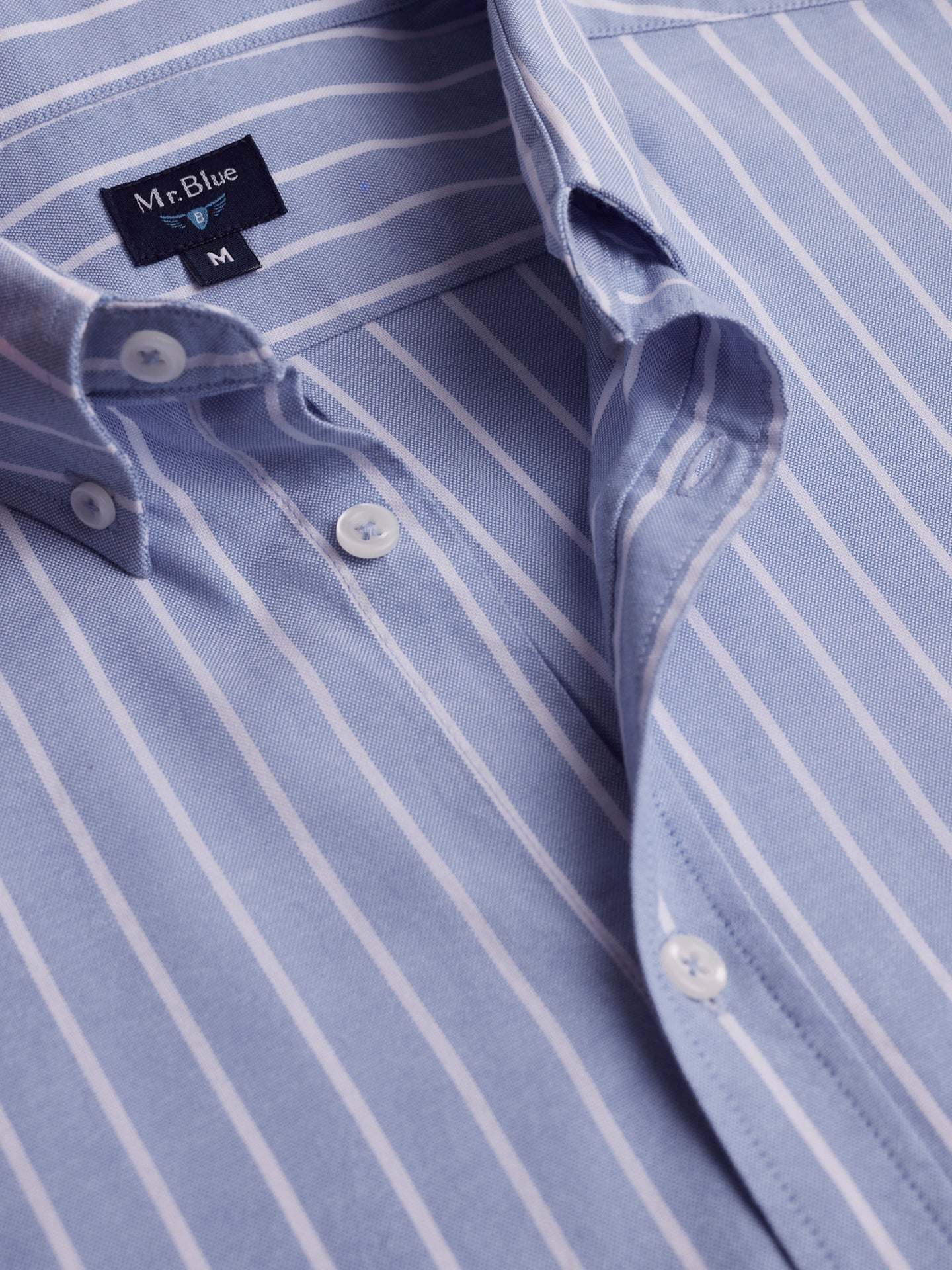 Camisa Regular Fit Oxford Azul Mr. Blue