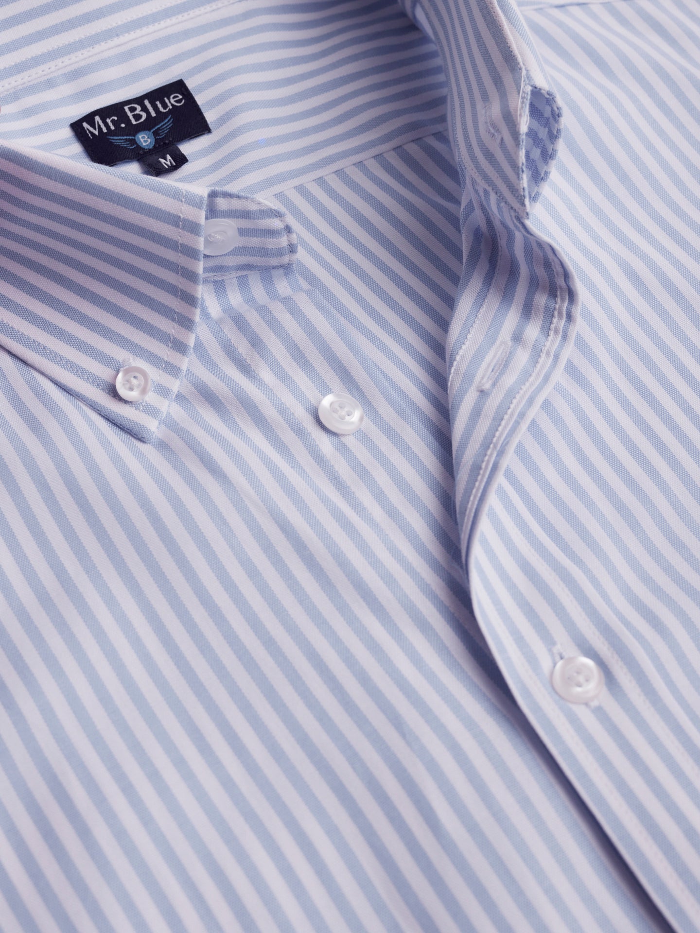 Camisa Regular Fit Oxford Azul Mr. Blue