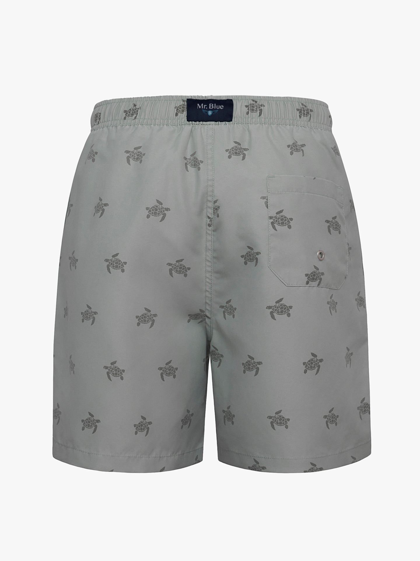 Fato de Banho Clássico Verde Mr. Blue