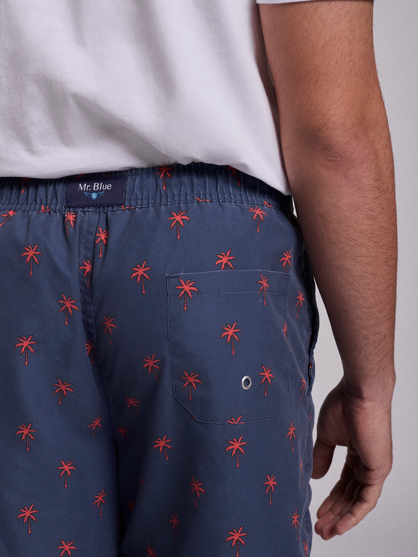 FATO BANHO AZUL REGULAR FIT MR. BLUE