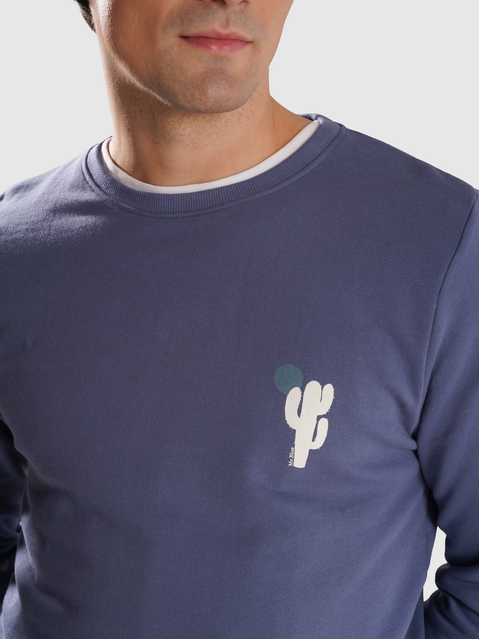 HOODIE ALGODÃO AZUL MANGA COMPRIDA REGULAR FIT MR. BLUE