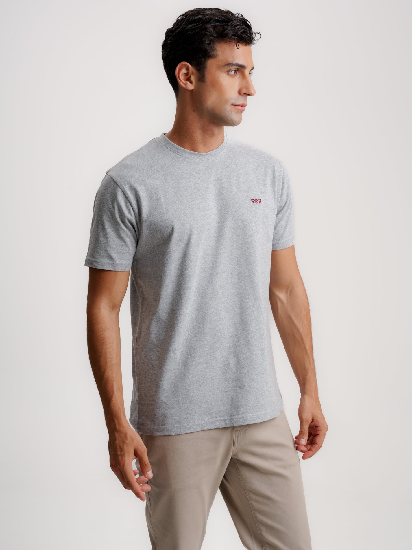 T-SHIRT ALGODÃO CINZENTA MANGA CURTA REGULAR FIT MR. BLUE