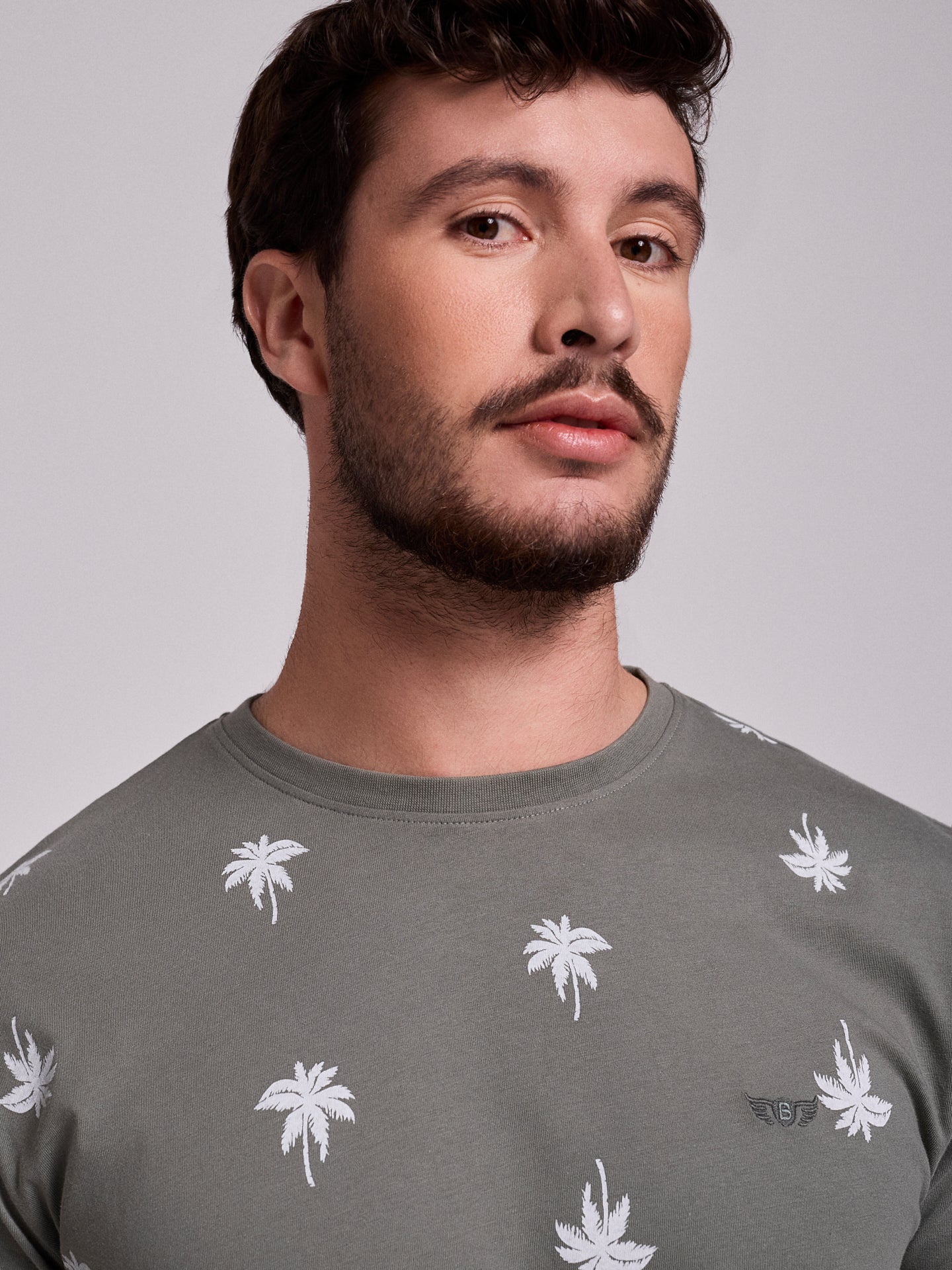 T-SHIRT ALGODÃO VERDE MANGA CURTA REGULAR FIT MR. BLUE