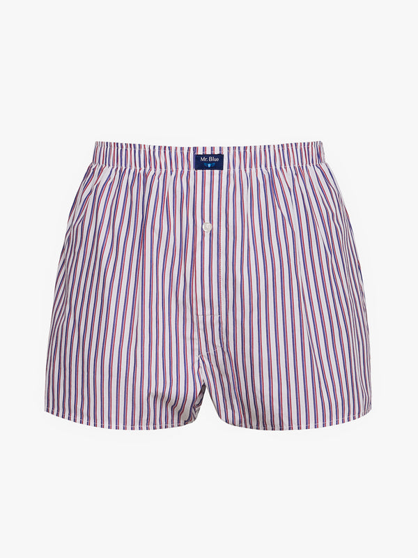 Boxers Classicos Mr. Blue