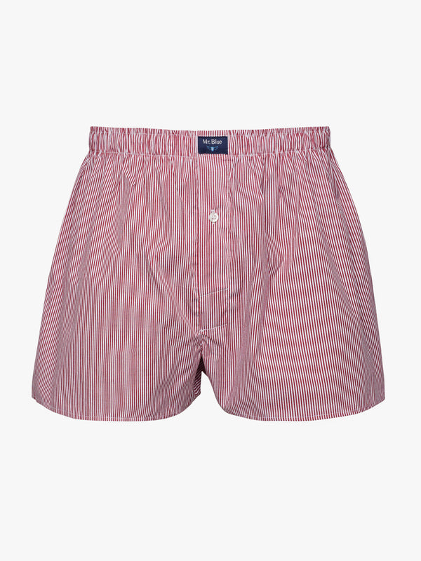 Boxers Classicos Mr. Blue