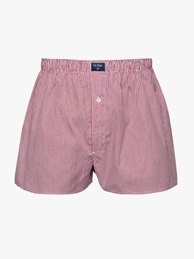 Boxers Classicos Mr. Blue