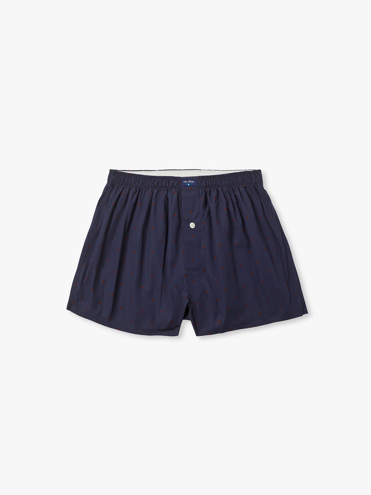 BOXERS CLASSIC FIT AZUIS PADRÕES MR. BLUE