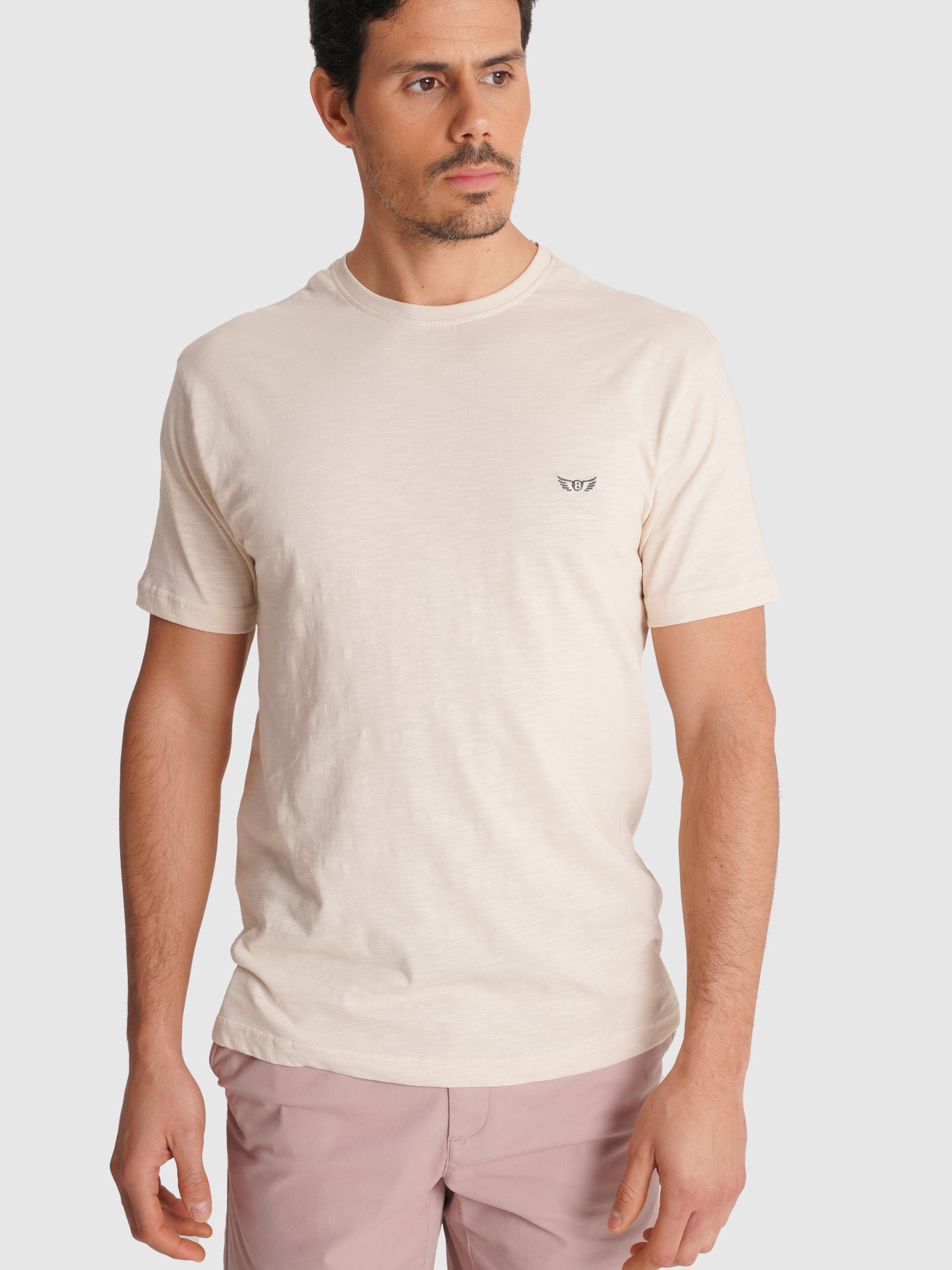 T-SHIRT CRU MANGA CURTA REGULAR FIT MR. BLUE