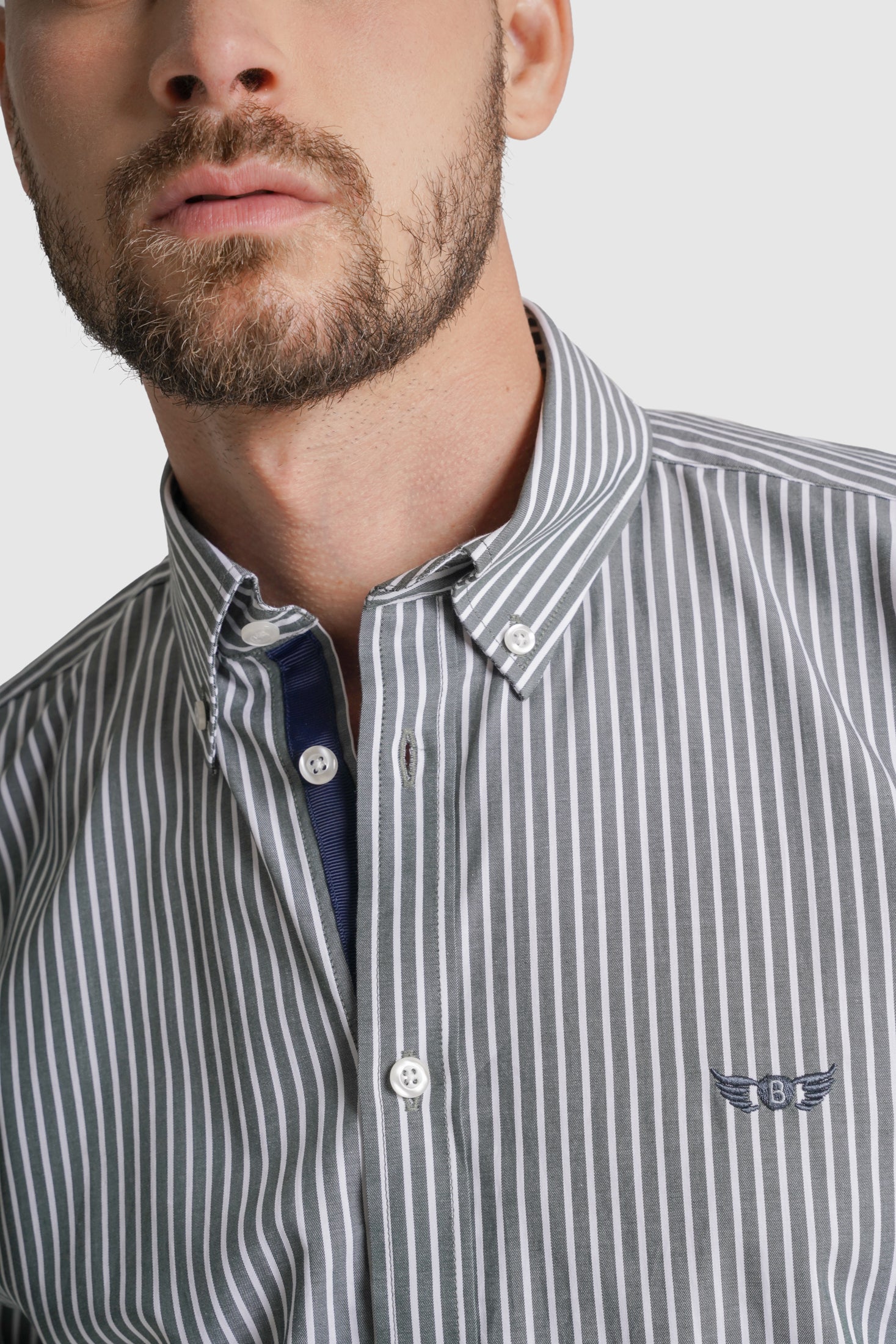 CAMISA ALGODÃO REGULAR FIT VERDE RISCAS MR. BLUE