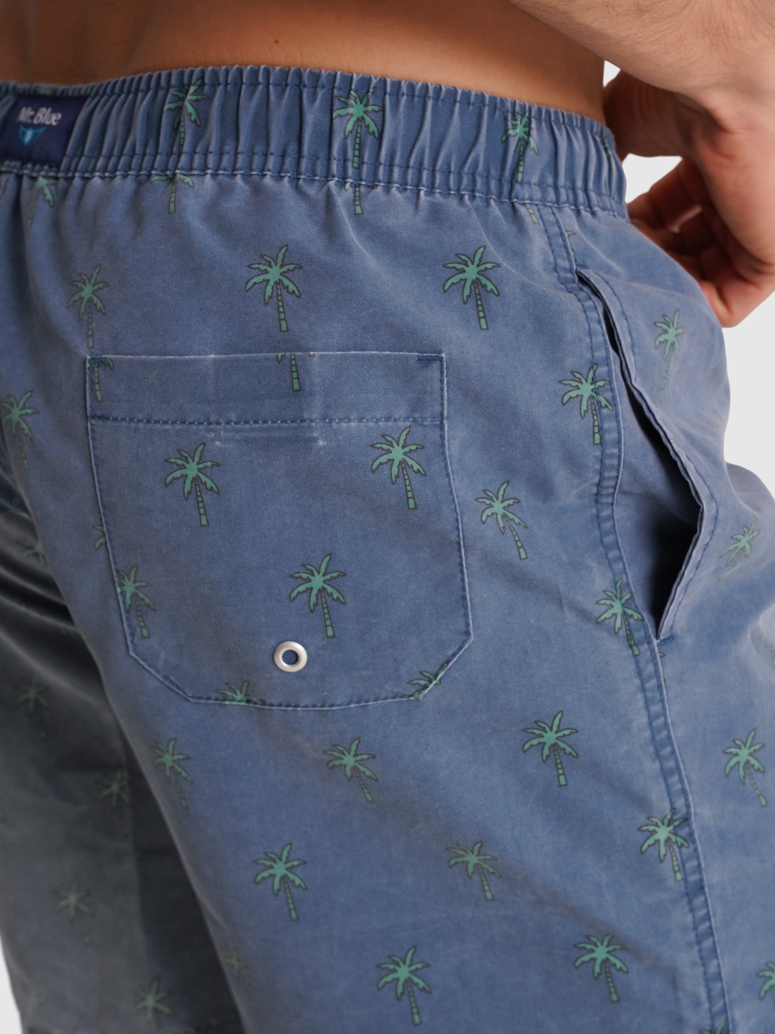 REGULAR FIT MR. BLUE SWIMMING SUIT BLUE