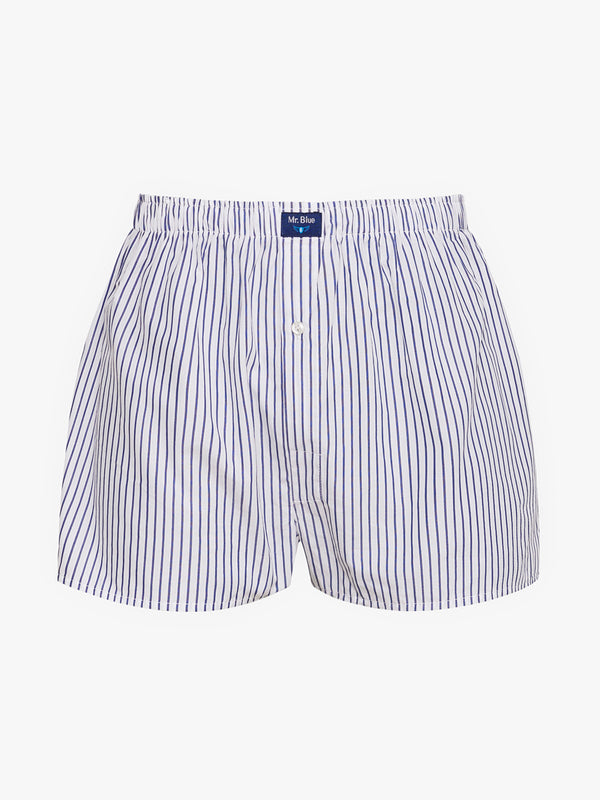 Boxers Classicos Mr. Blue