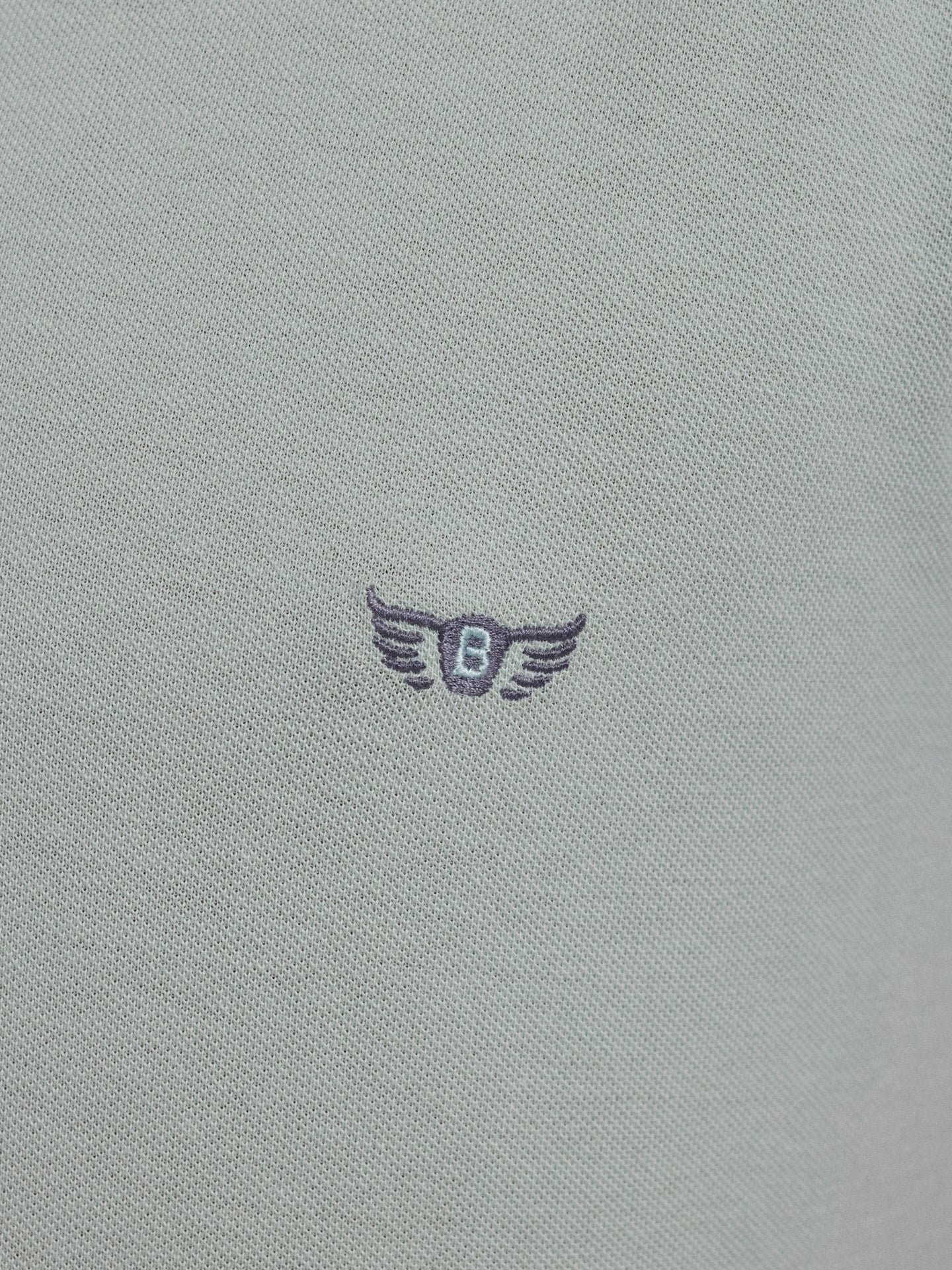 Polo Verde Manga Curta Regular Fit Mr. Blue