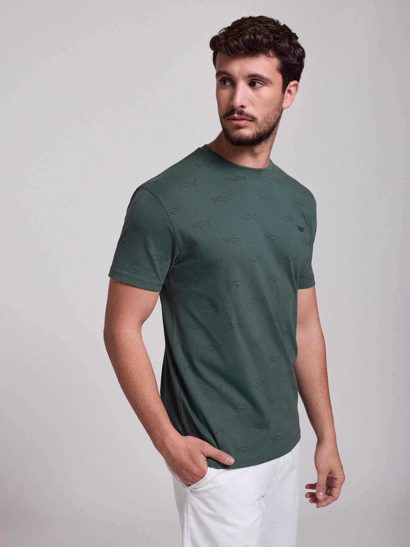 T-SHIRT ALGODÃO VERDE MANGA CURTA REGULAR FIT MR. BLUE
