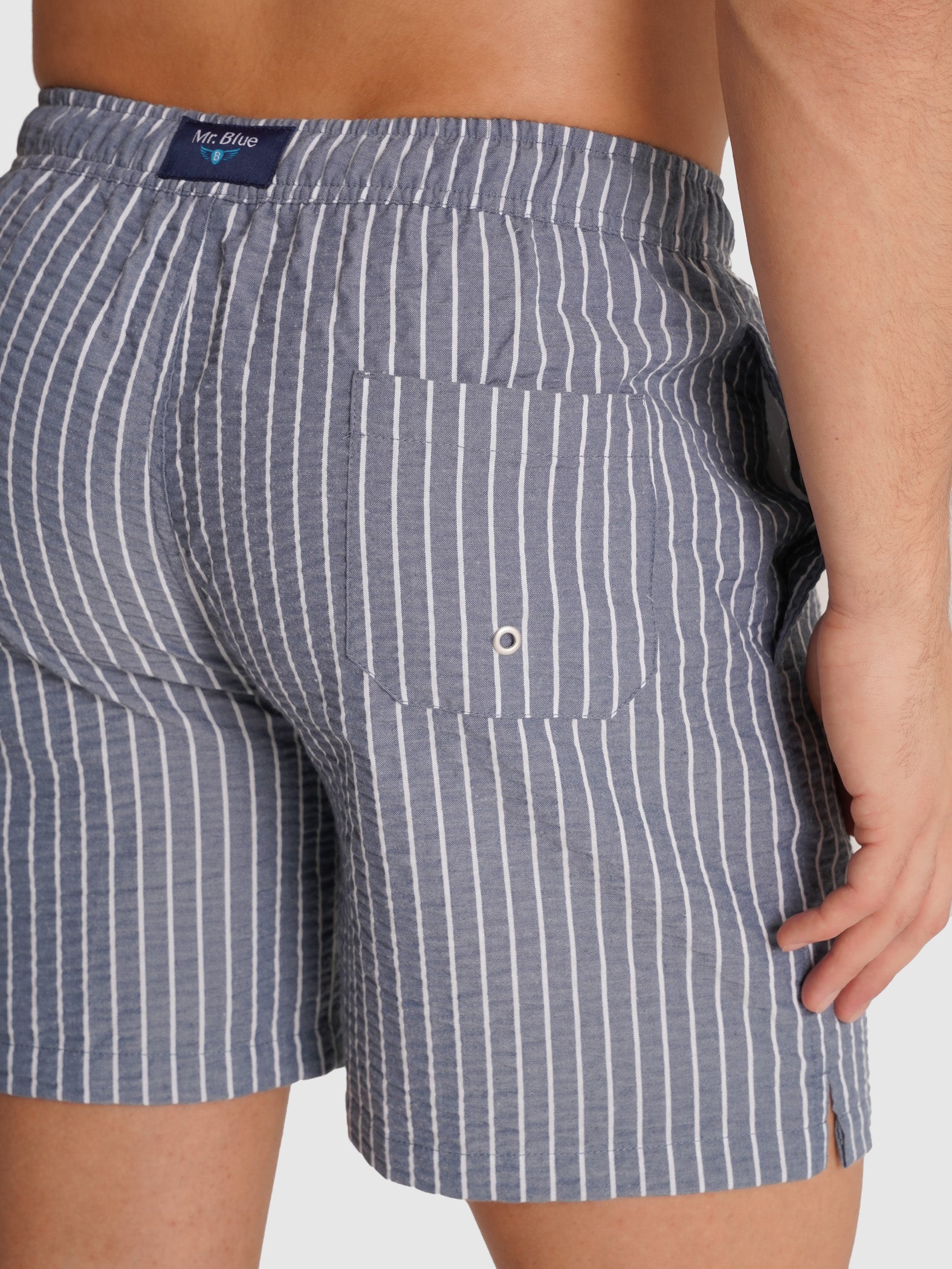 REGULAR FIT MR. BLUE SWIMMING SUIT BLUE