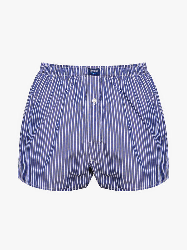 Boxers Classicos Mr. Blue