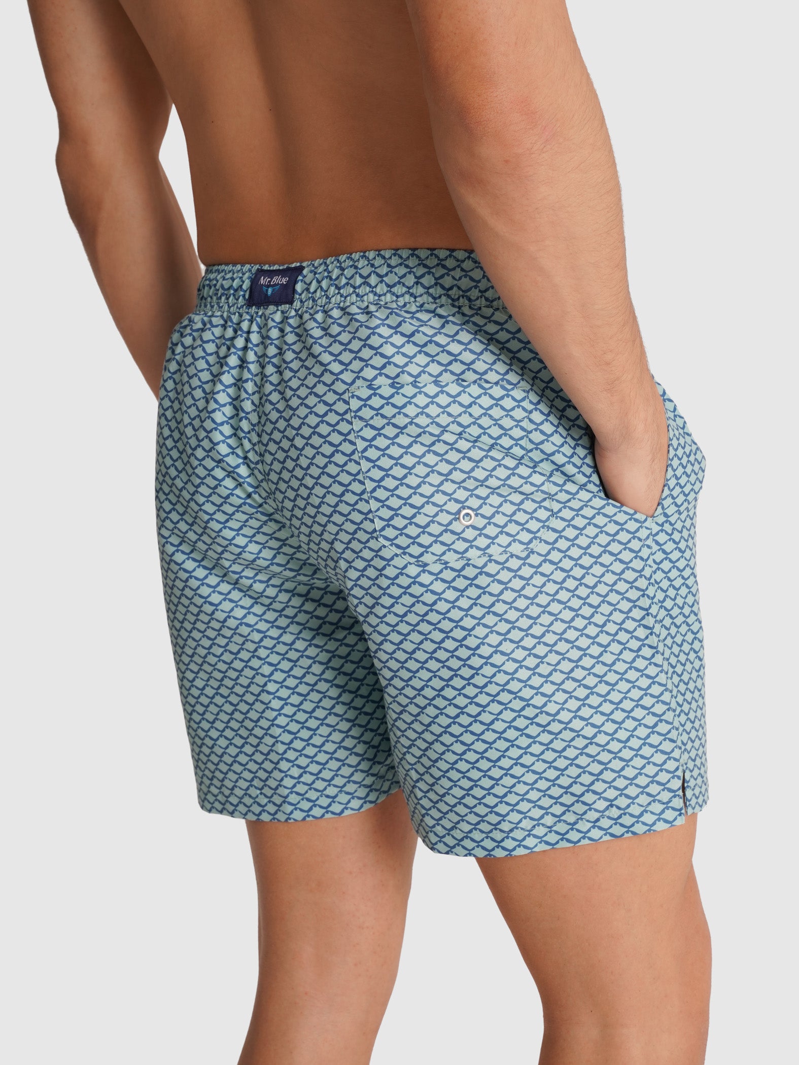 REGULAR FIT MR. BLUE SWIMMING SUIT BLUE