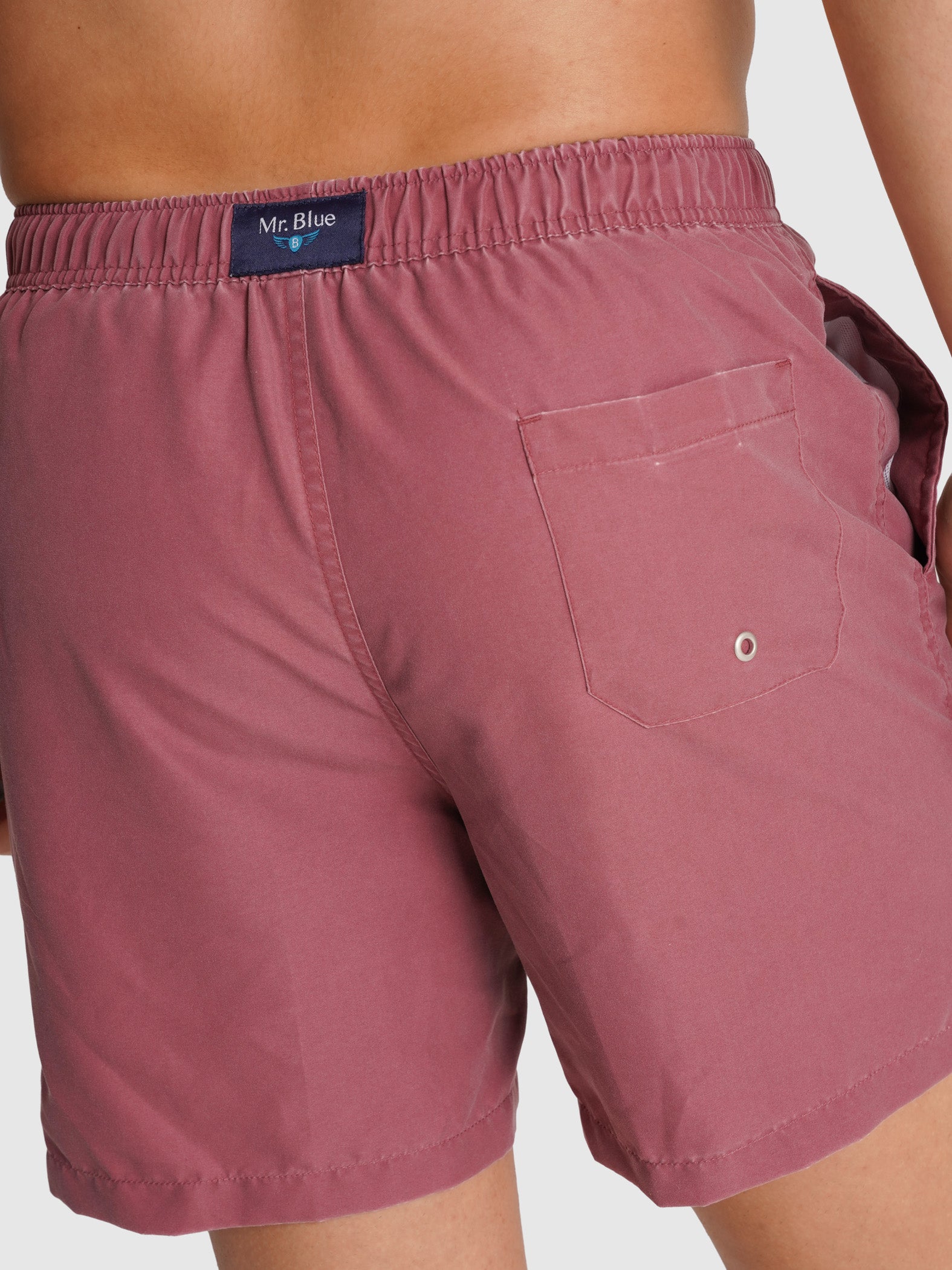 REGULAR FIT MR. PINK SWIMMING SUIT BLUE