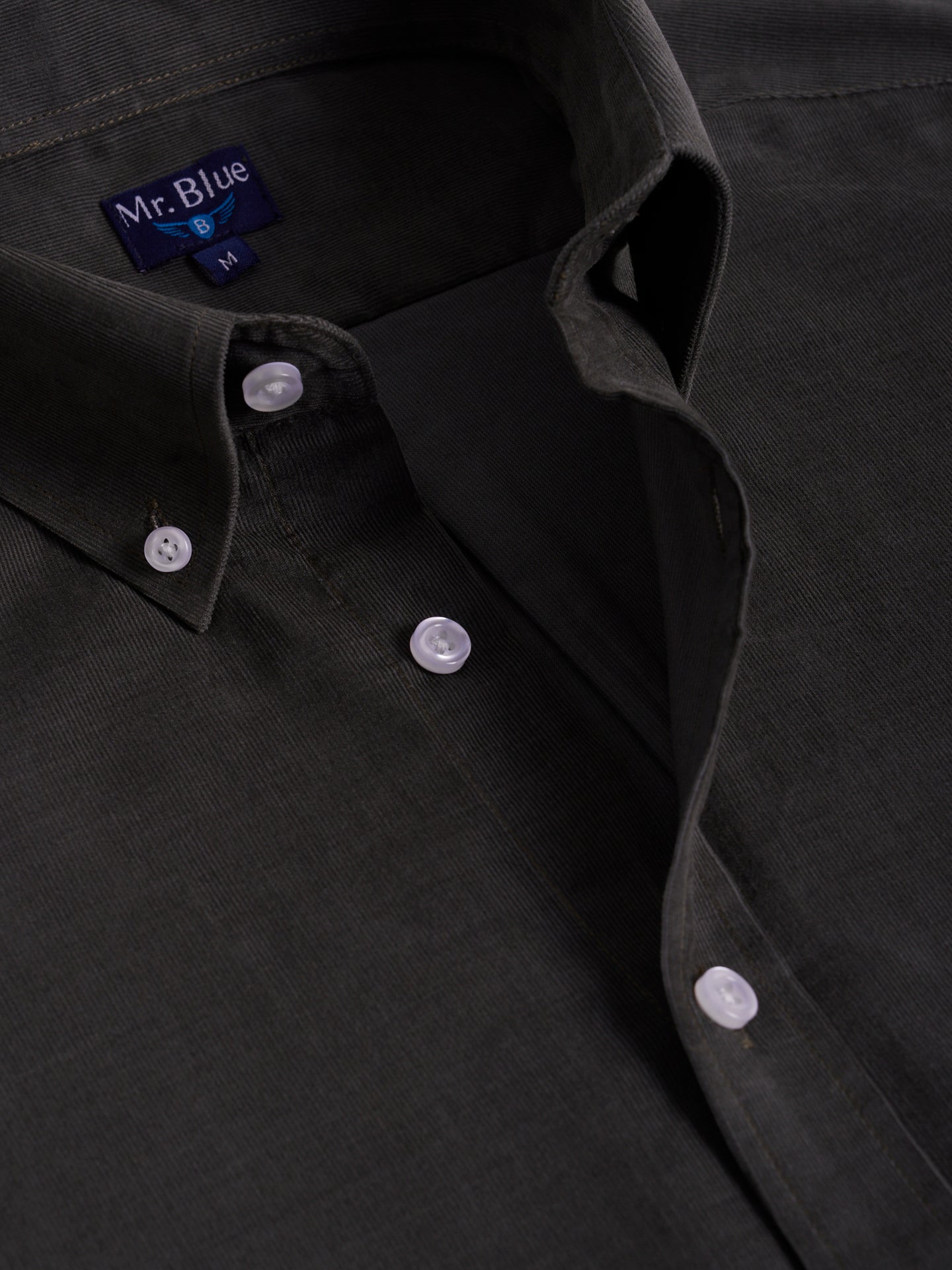 CAMISA VERDE REGULAR FIT MR. BLUE