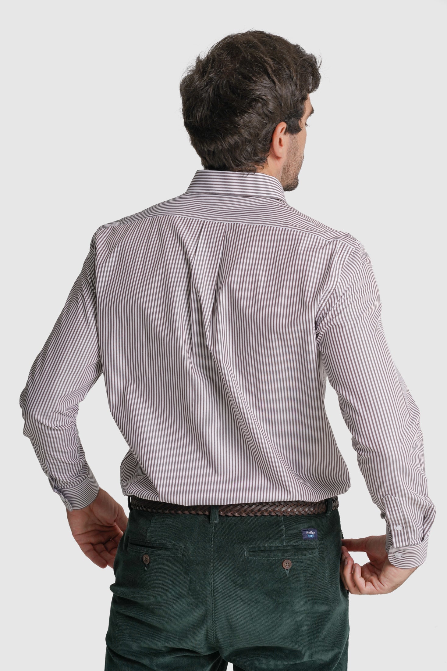 CAMISA ALGODÃO REGULAR FIT CASTANHA RISCAS MR. BLUE
