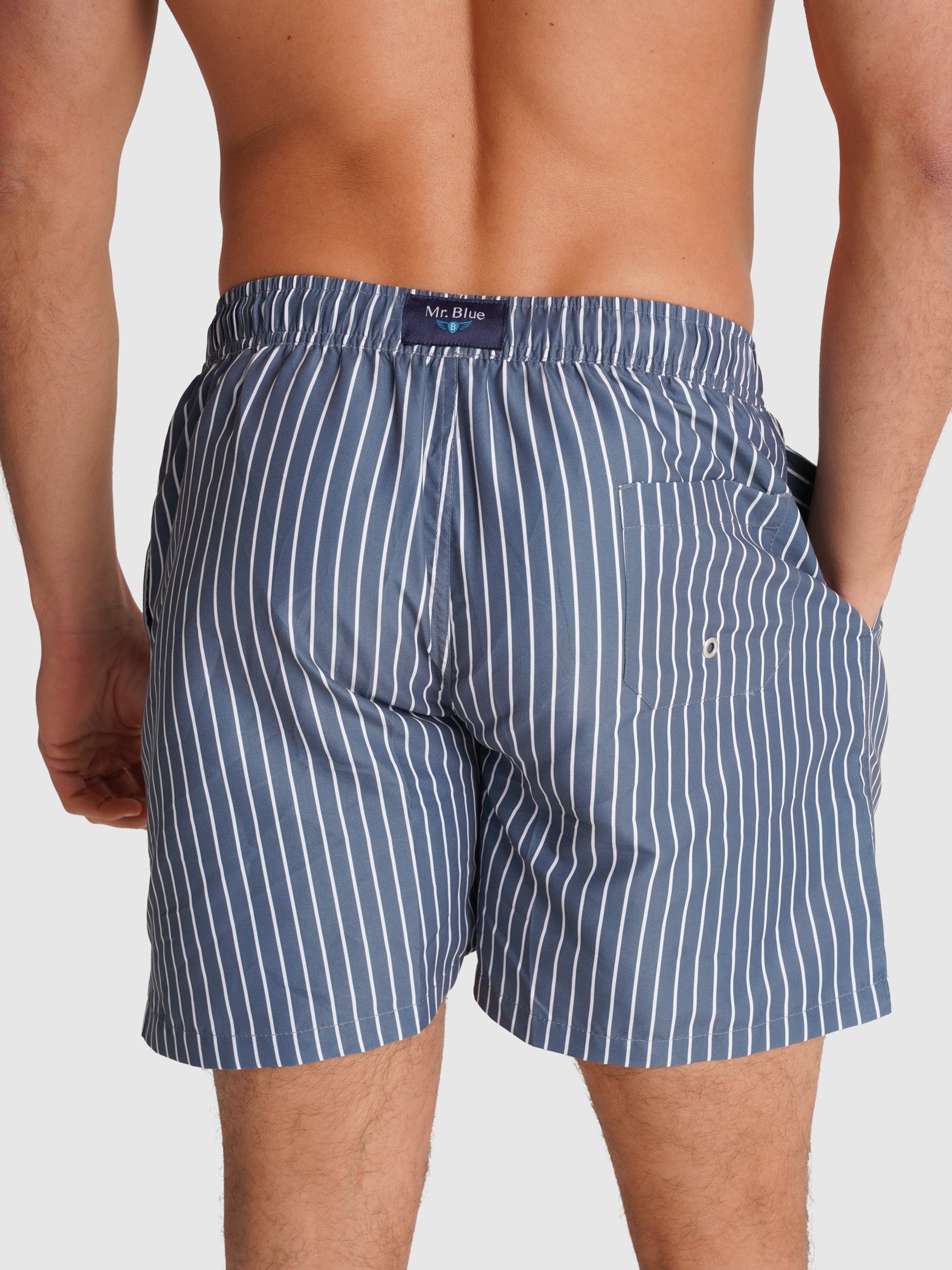 REGULAR FIT MR. BLUE SWIMMING SUIT BLUE