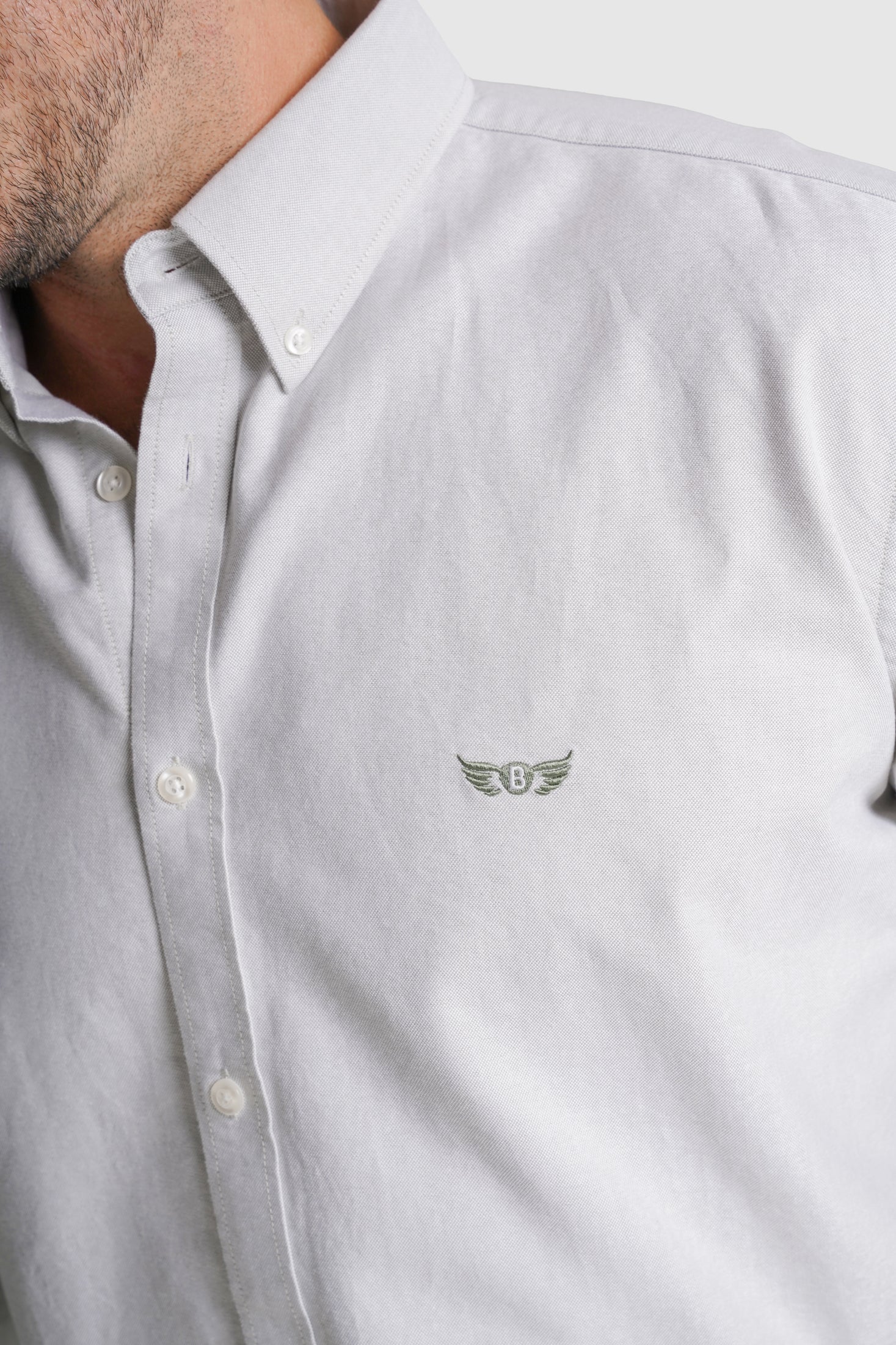 CAMISA ALGODÃO REGULAR FIT VERDE LISA MR. BLUE