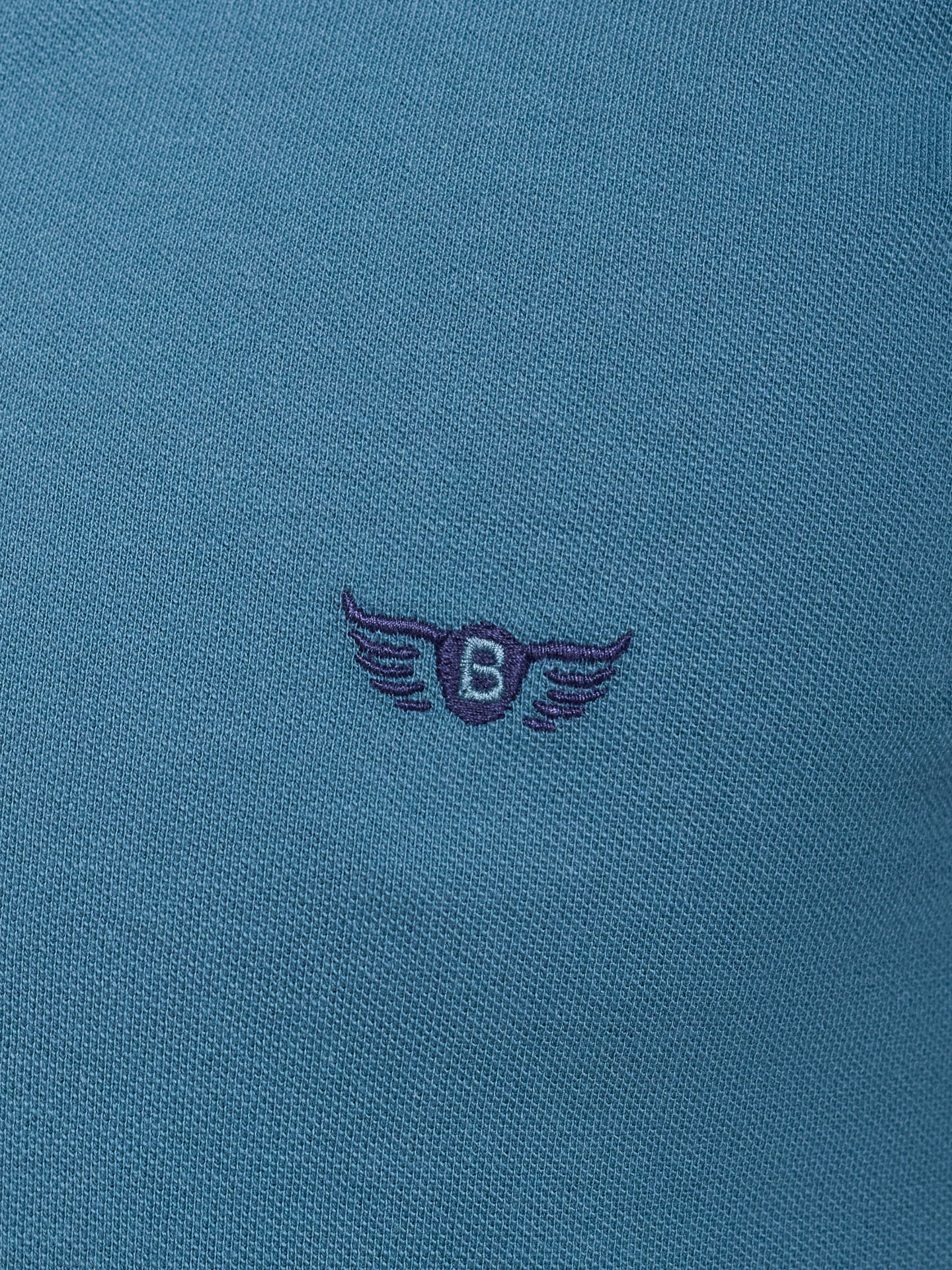 Polo Verde Manga Curta Regular Fit Mr. Blue