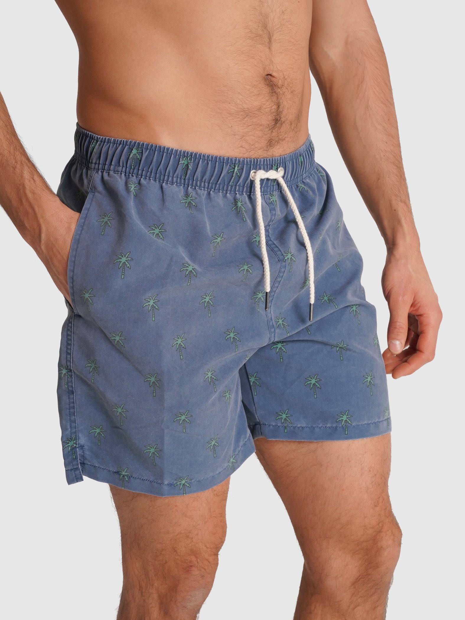 REGULAR FIT MR. BLUE SWIMMING SUIT BLUE