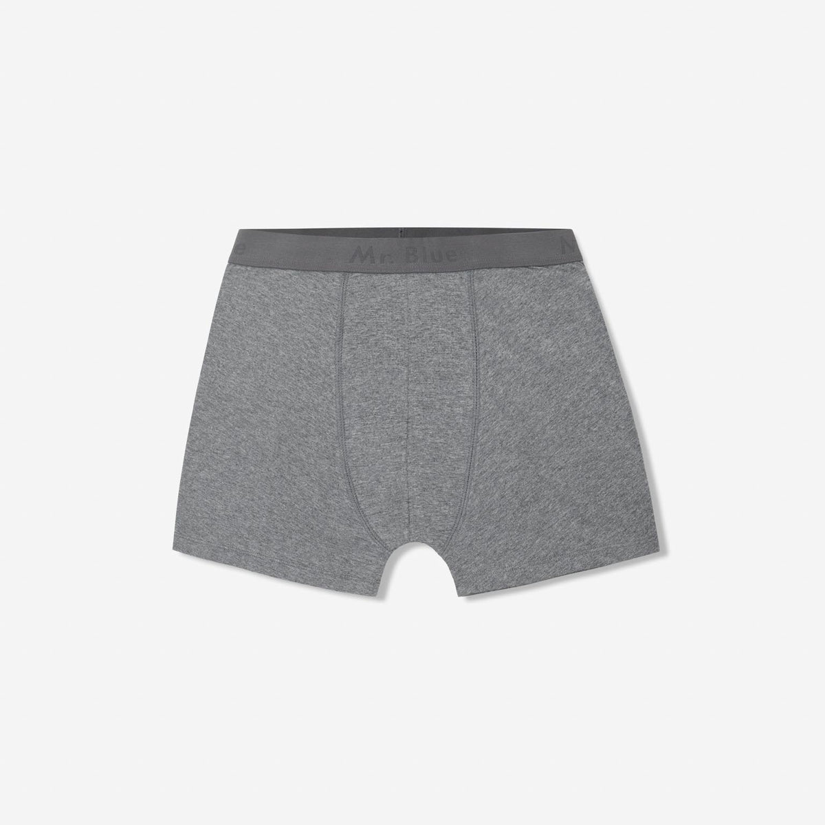 Gray Regular Fit Boxer – Mr Blue
