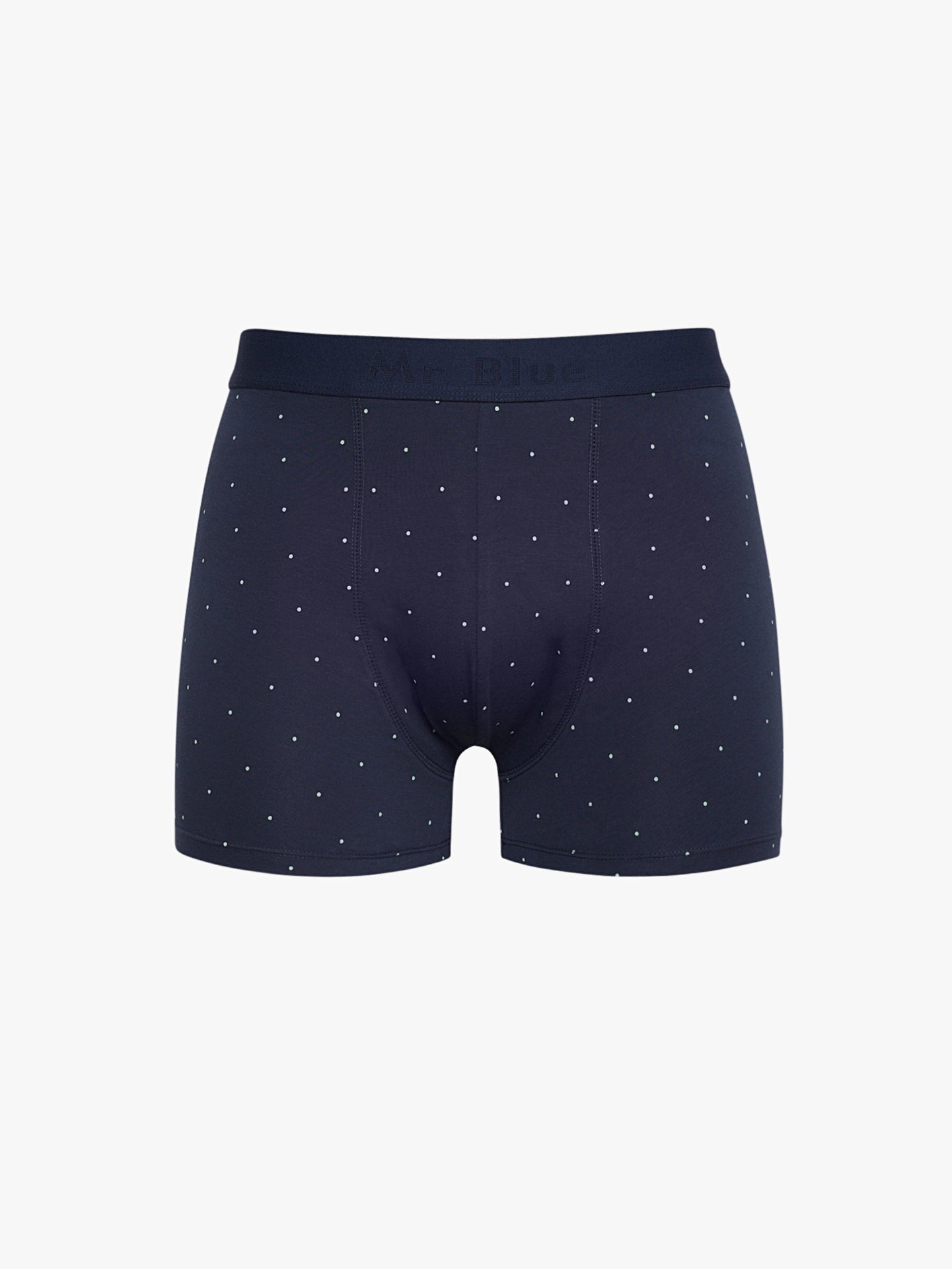 BLUE BOXERS REGULAR FIT MR. BLUE