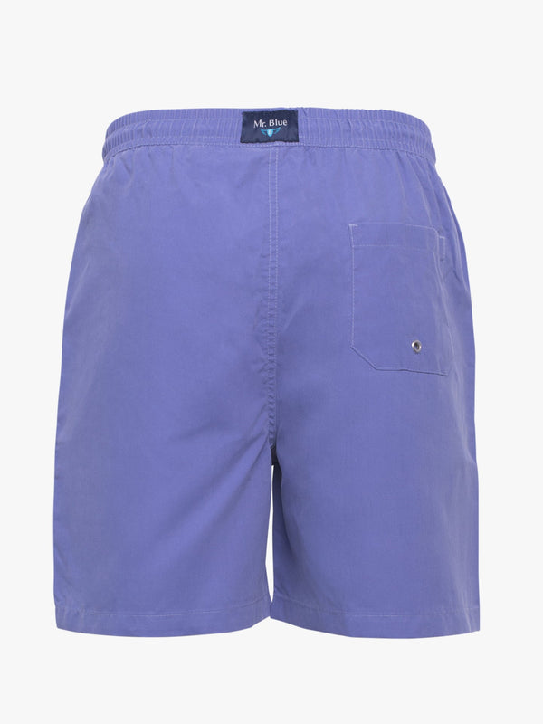 Classic light blue plain swim shorts
