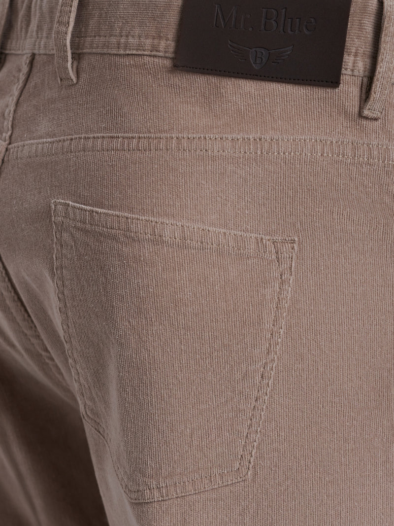 Beige Slim Fit Chinos