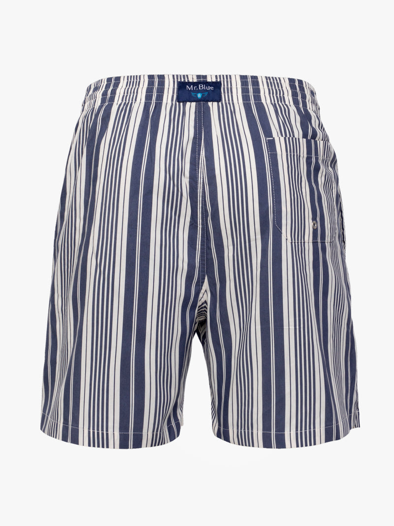 Classic blue striped swim shorts